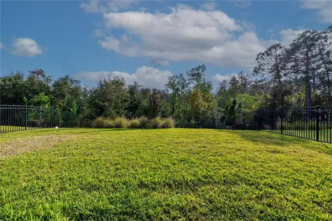 18344 Oliver Twist Way Winter Garden FL 34787