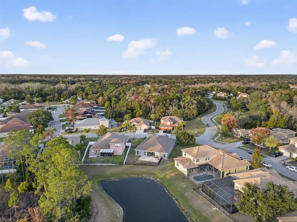 11238 Biddeford Place New Port Richey FL 34654