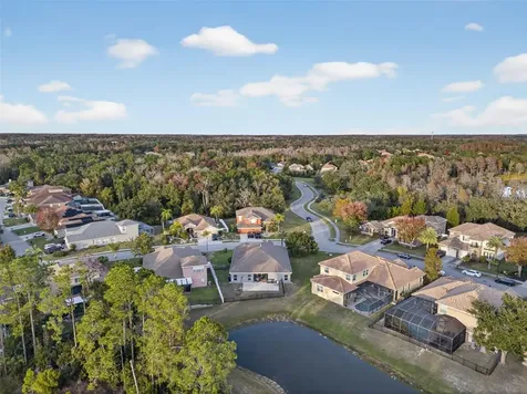 11238 Biddeford Place New Port Richey FL 34654