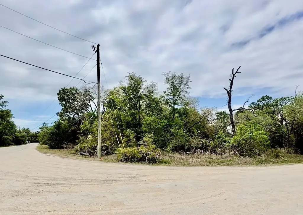 11205 Mountain Mockingbird Road Weeki Wachee FL 34614