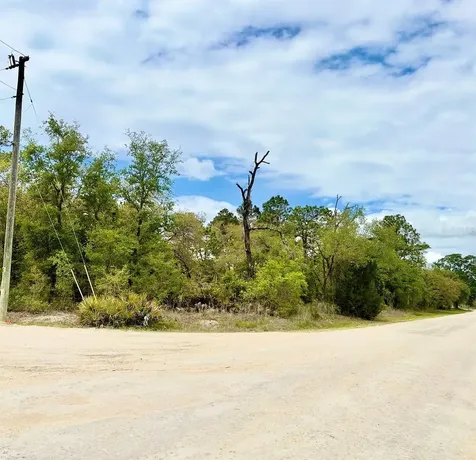 11205 Mountain Mockingbird Road Weeki Wachee FL 34614
