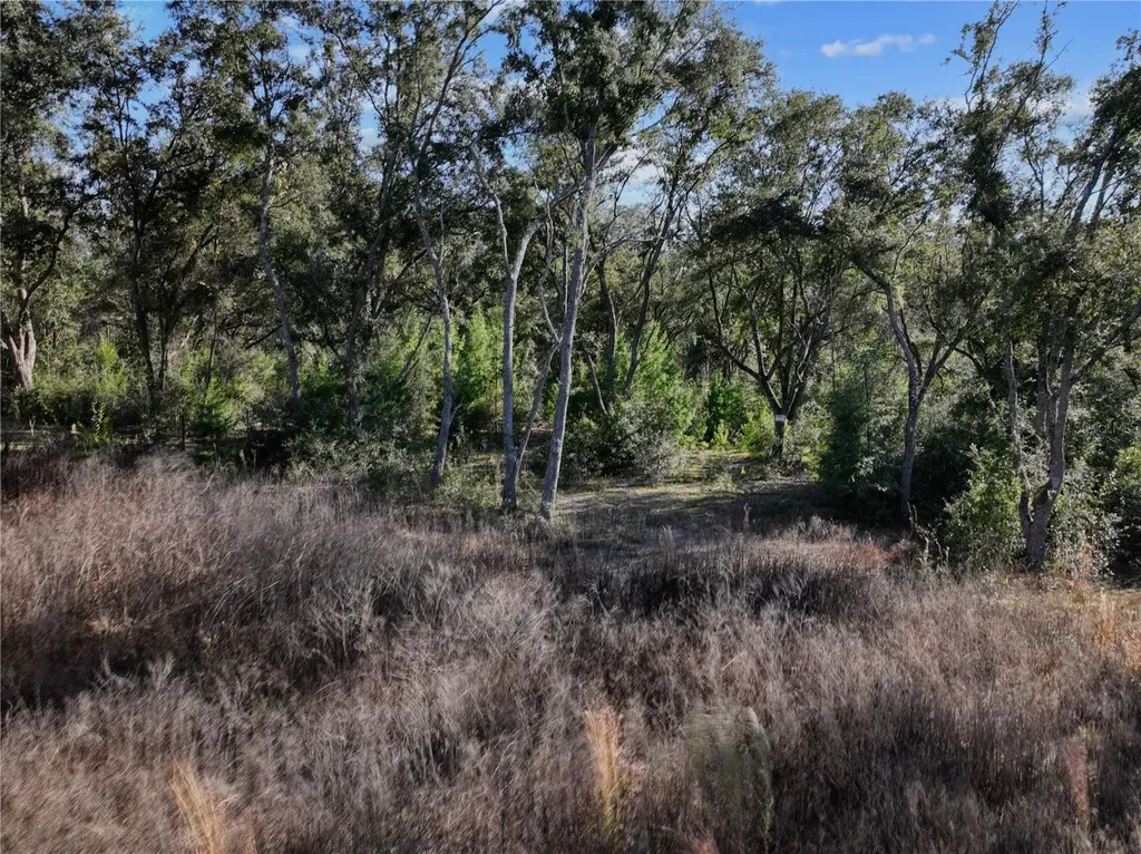 Bronson FL 32621