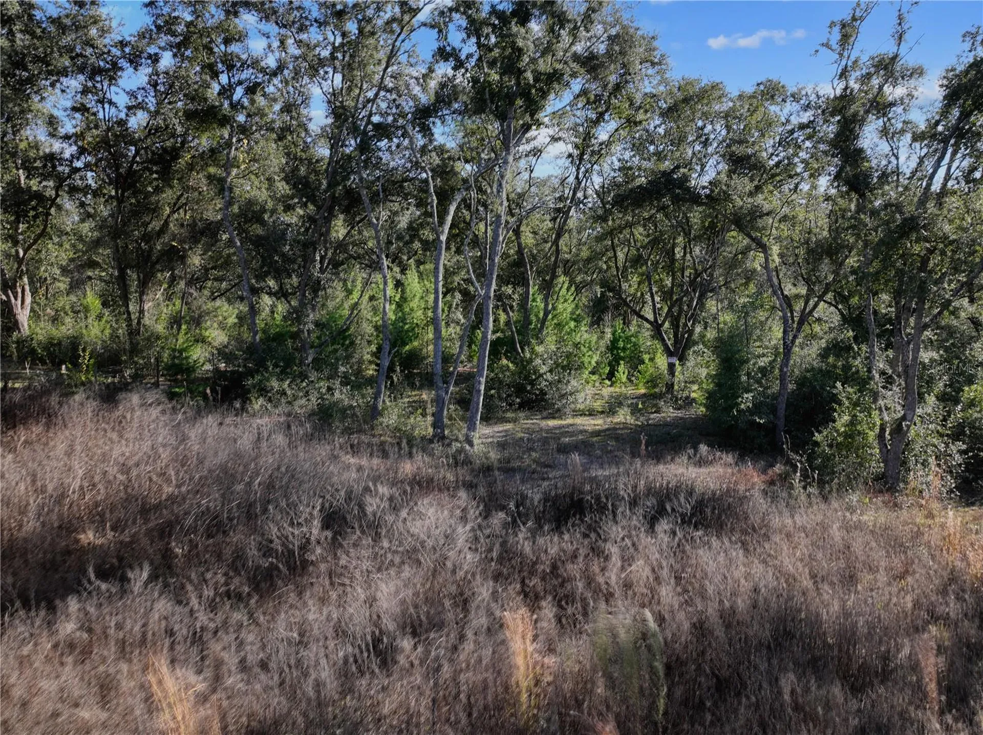 Bronson FL 32621