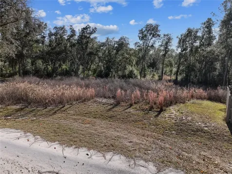 Bronson FL 32621