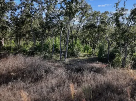 Bronson FL 32621