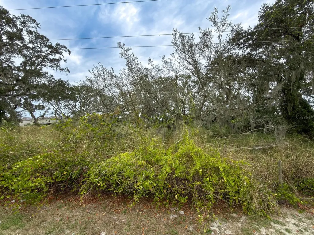 9947 Cowley Road Riverview FL 33578