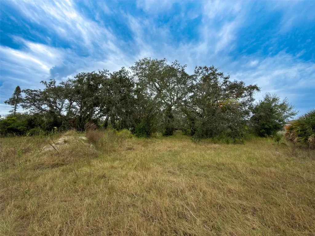 9947 Cowley Road Riverview FL 33578