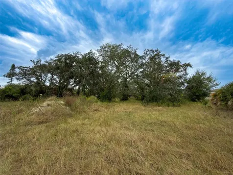 9947 Cowley Road Riverview FL 33578