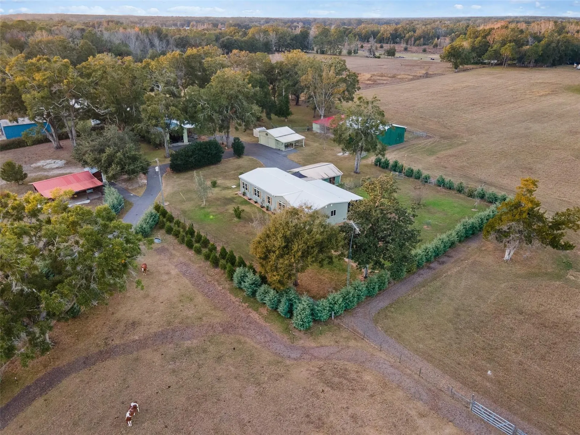 23016 NW 102nd Avenue Alachua FL 32615