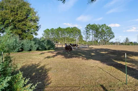 23016 NW 102nd Avenue Alachua FL 32615