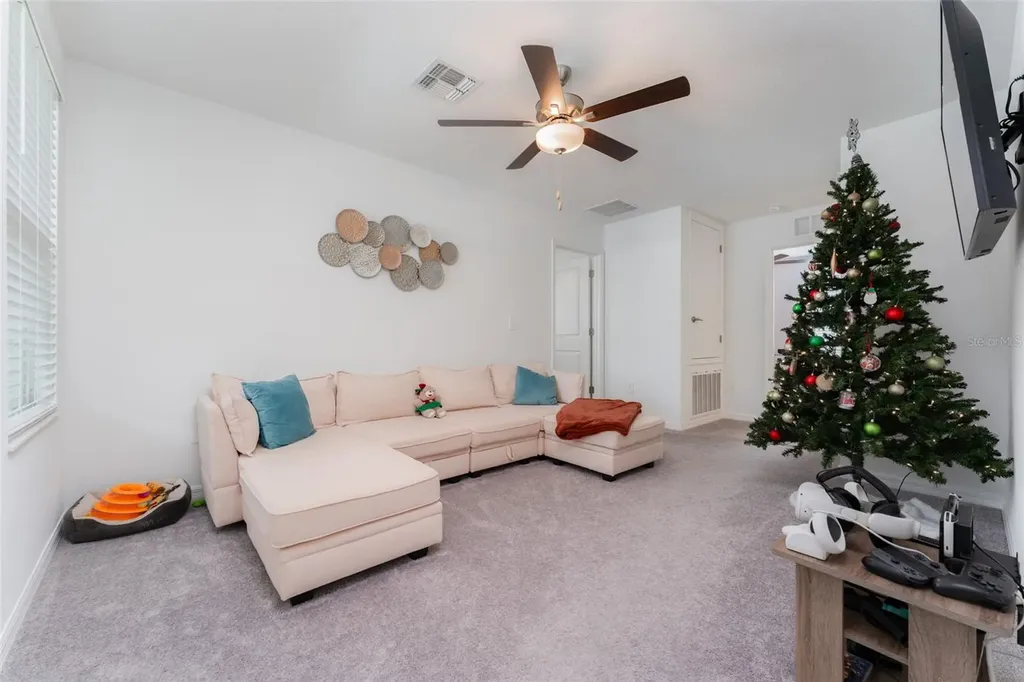 13310 Woodworth Way Riverview FL 33579
