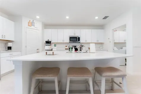 13310 Woodworth Way Riverview FL 33579