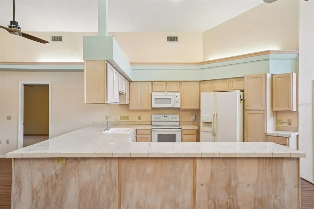 18628 SE 53rd Place Ocklawaha FL 32179