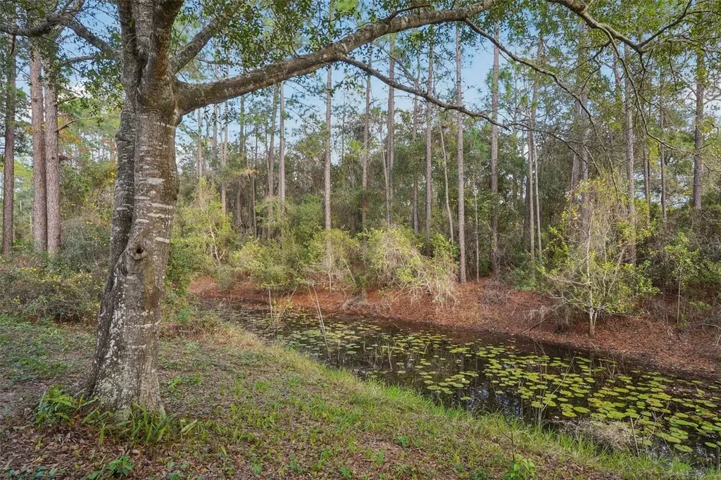 18628 SE 53rd Place Ocklawaha FL 32179