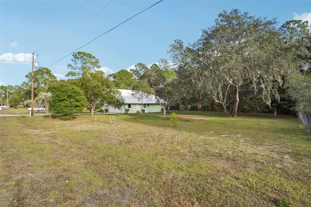 18628 SE 53rd Place Ocklawaha FL 32179