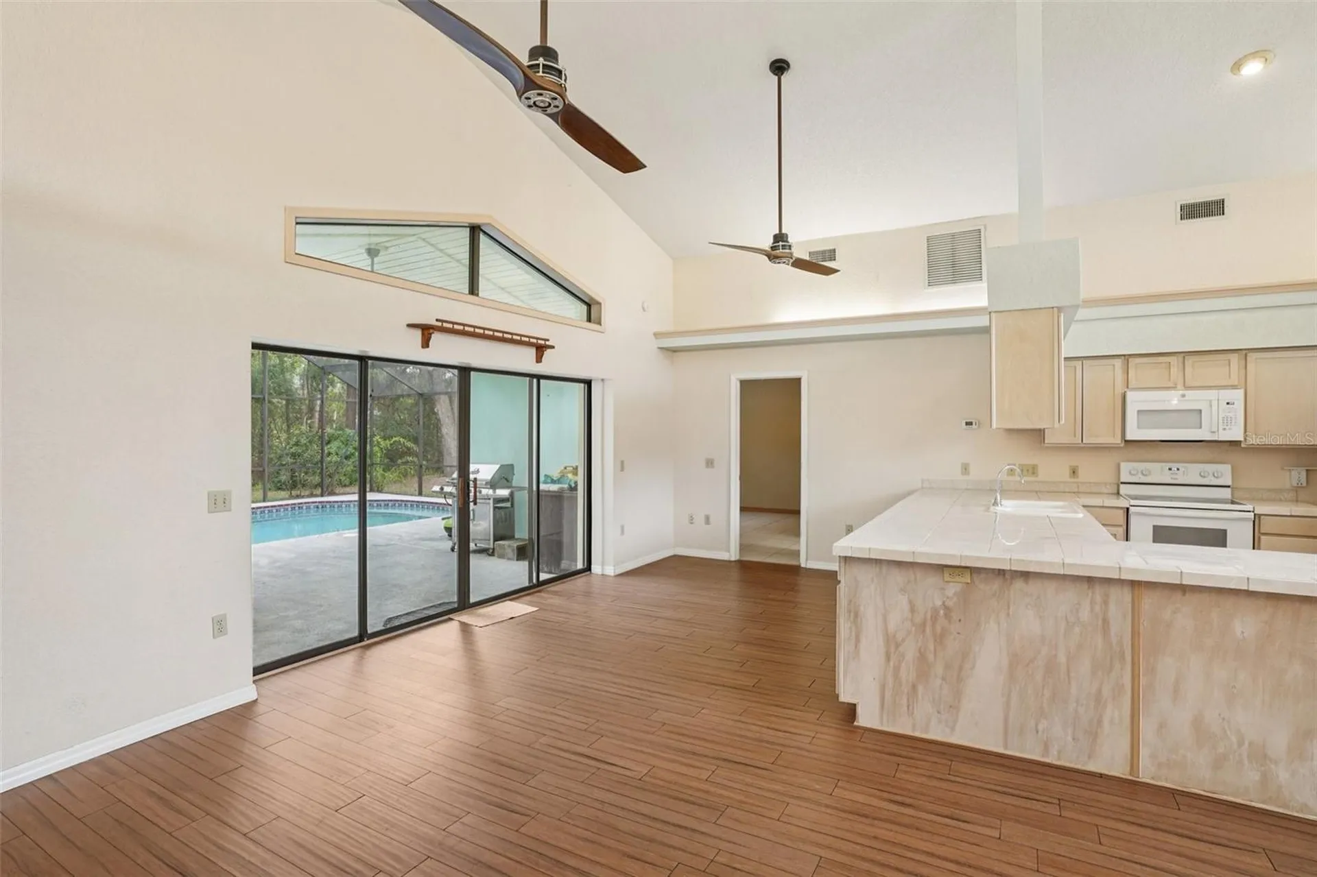 18628 SE 53rd Place Ocklawaha FL 32179