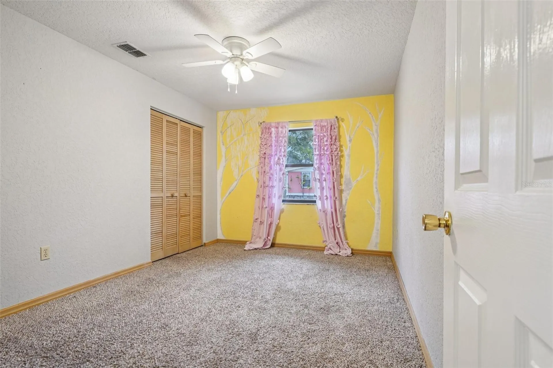 18628 SE 53rd Place Ocklawaha FL 32179