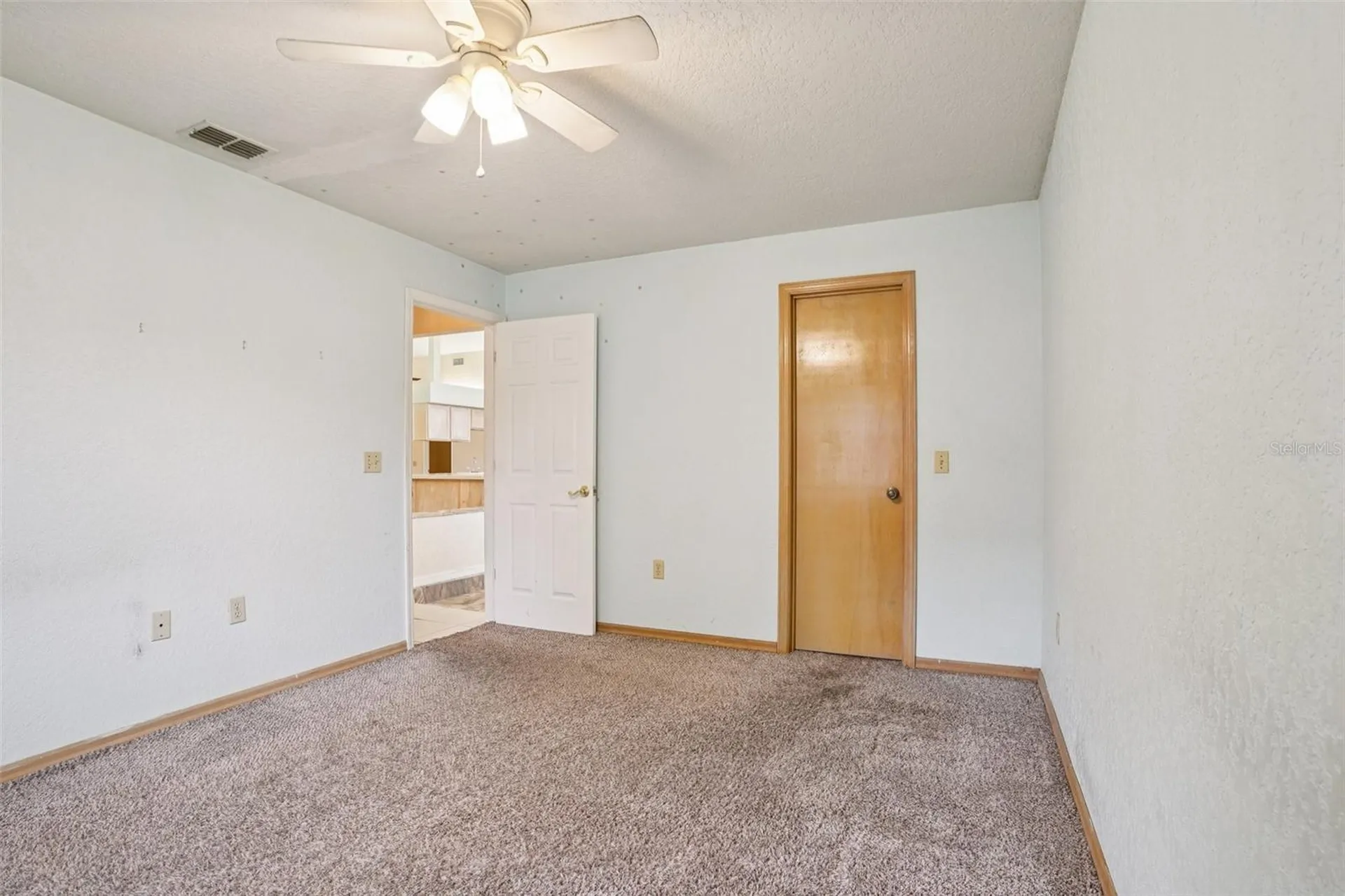 18628 SE 53rd Place Ocklawaha FL 32179