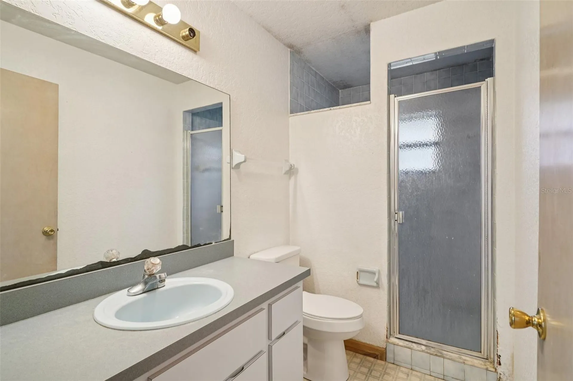 18628 SE 53rd Place Ocklawaha FL 32179