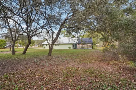 18628 SE 53rd Place Ocklawaha FL 32179