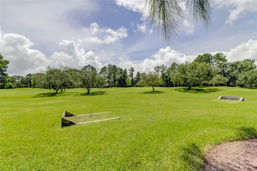 18605 Avenue Monaco Lutz FL 33558