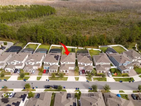 10551 Petrillo Way Winter Garden FL 34787