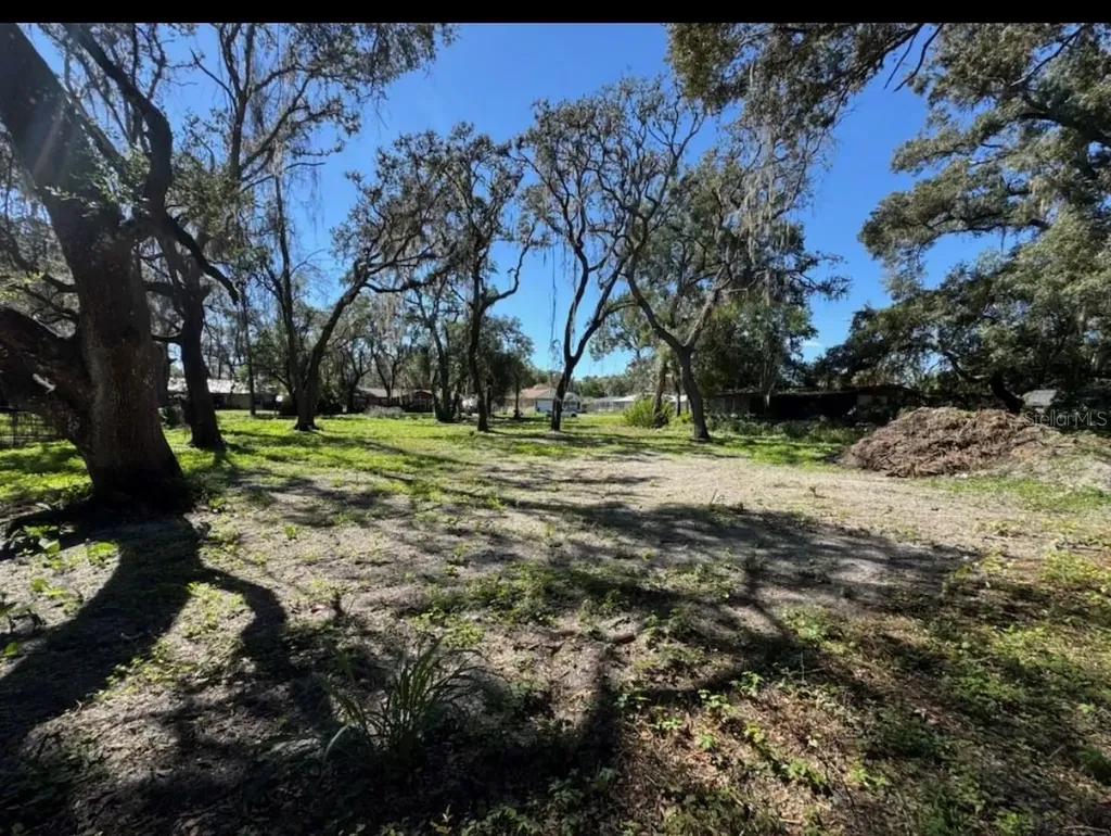34779 Hibiscus Drive Dade City FL 33523