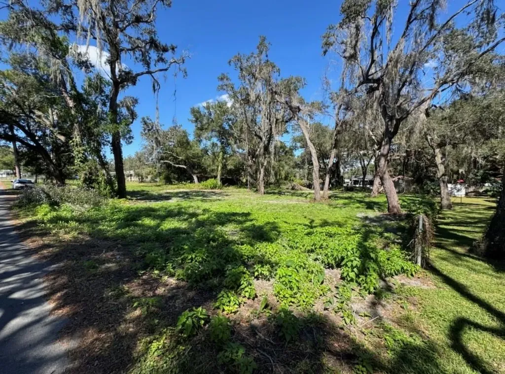 34779 Hibiscus Drive Dade City FL 33523
