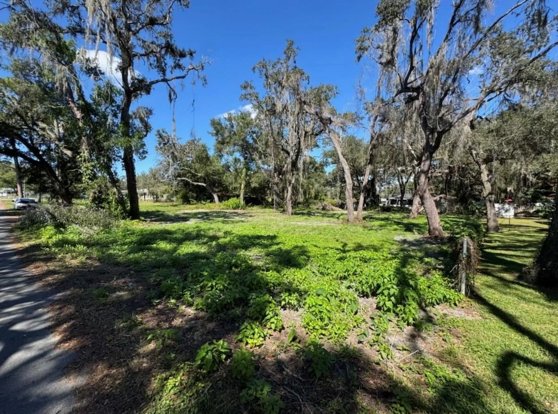 34779 Hibiscus Drive Dade City FL 33523