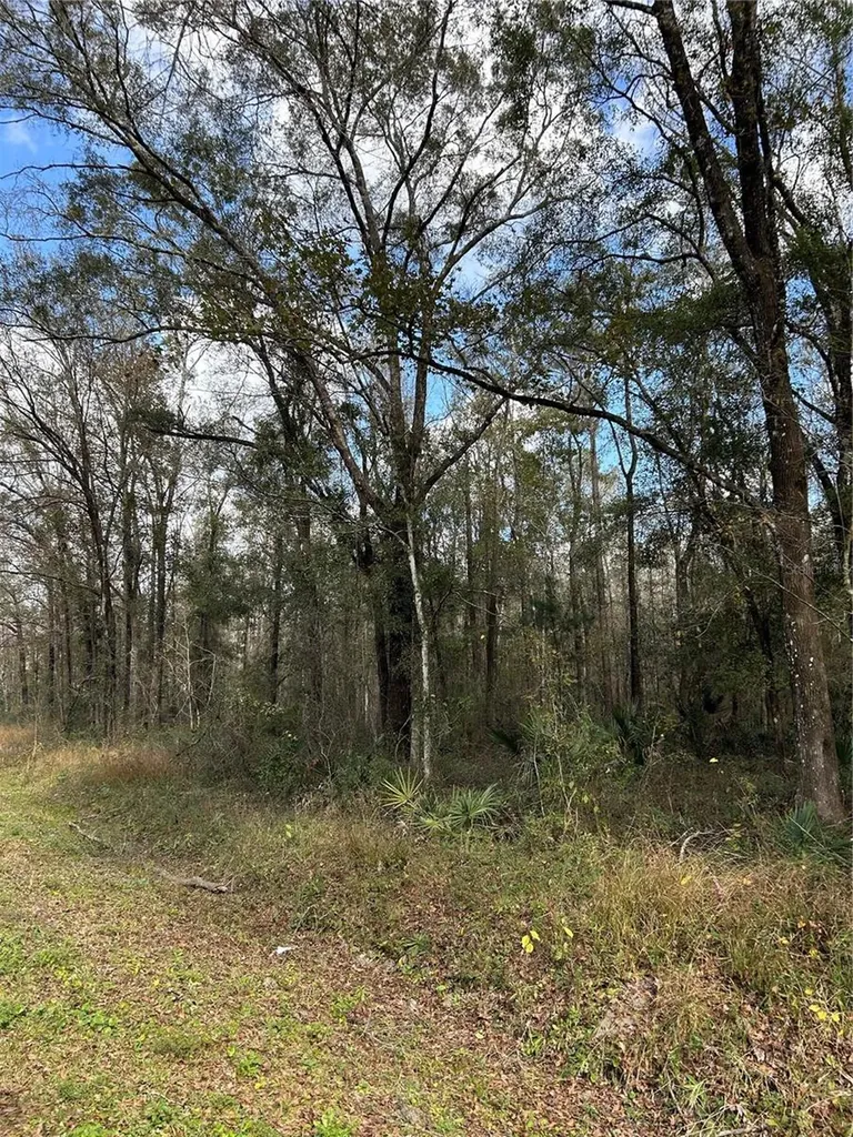 10040 Mcmahon Avenue Hastings FL 32145