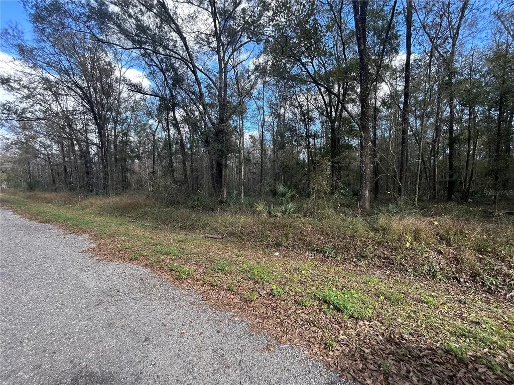 10040 Mcmahon Avenue Hastings FL 32145