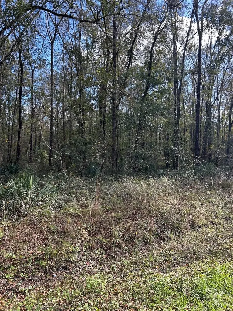 10040 Mcmahon Avenue Hastings FL 32145