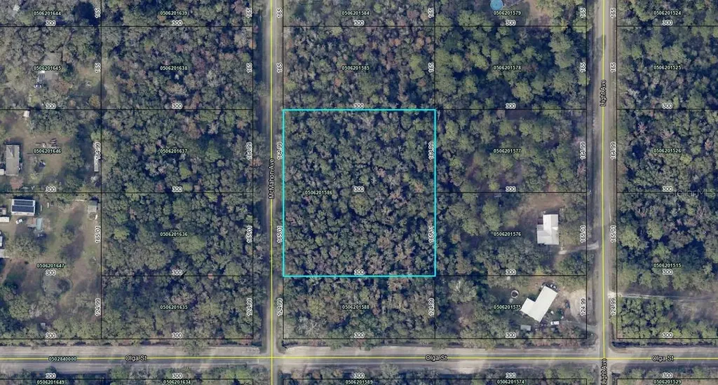 10040 Mcmahon Avenue Hastings FL 32145