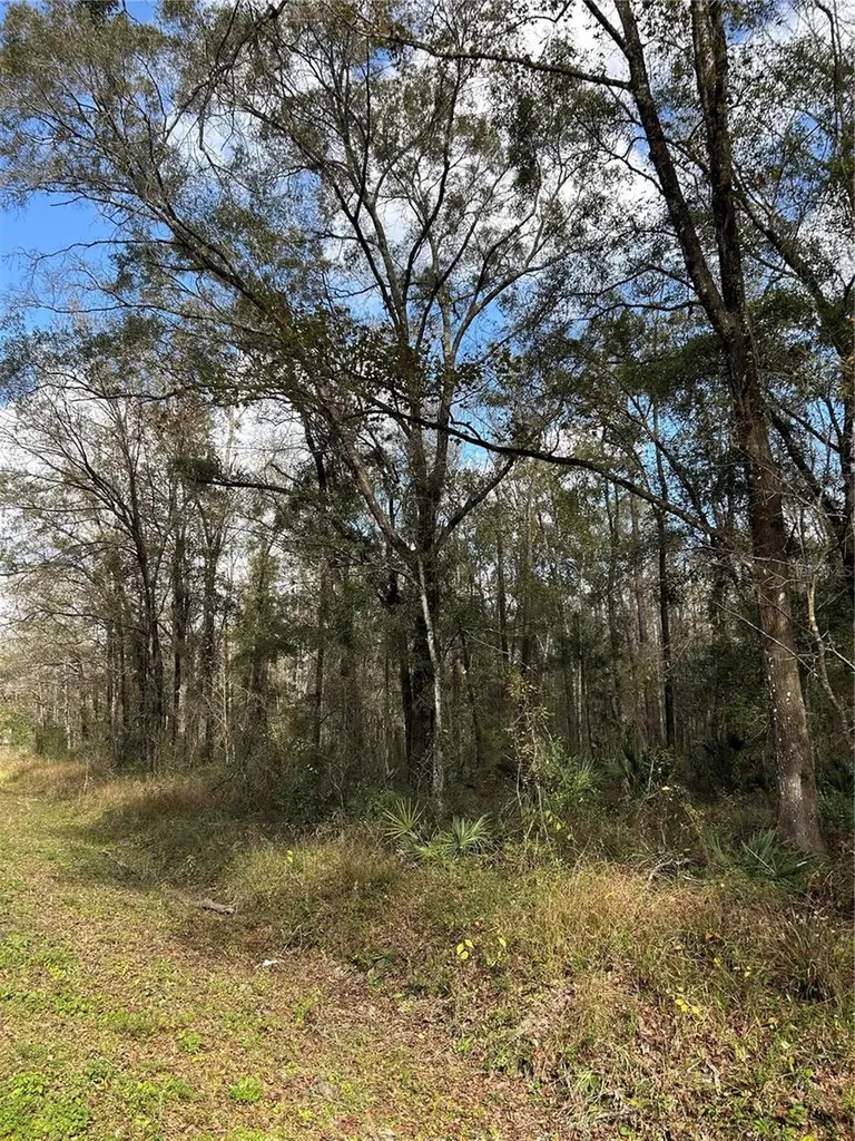 10040 Mcmahon Avenue Hastings FL 32145