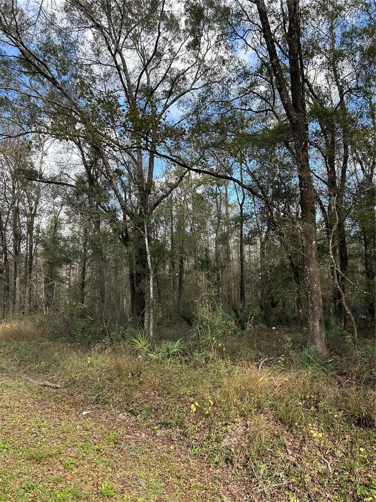 10040 Mcmahon Avenue Hastings FL 32145