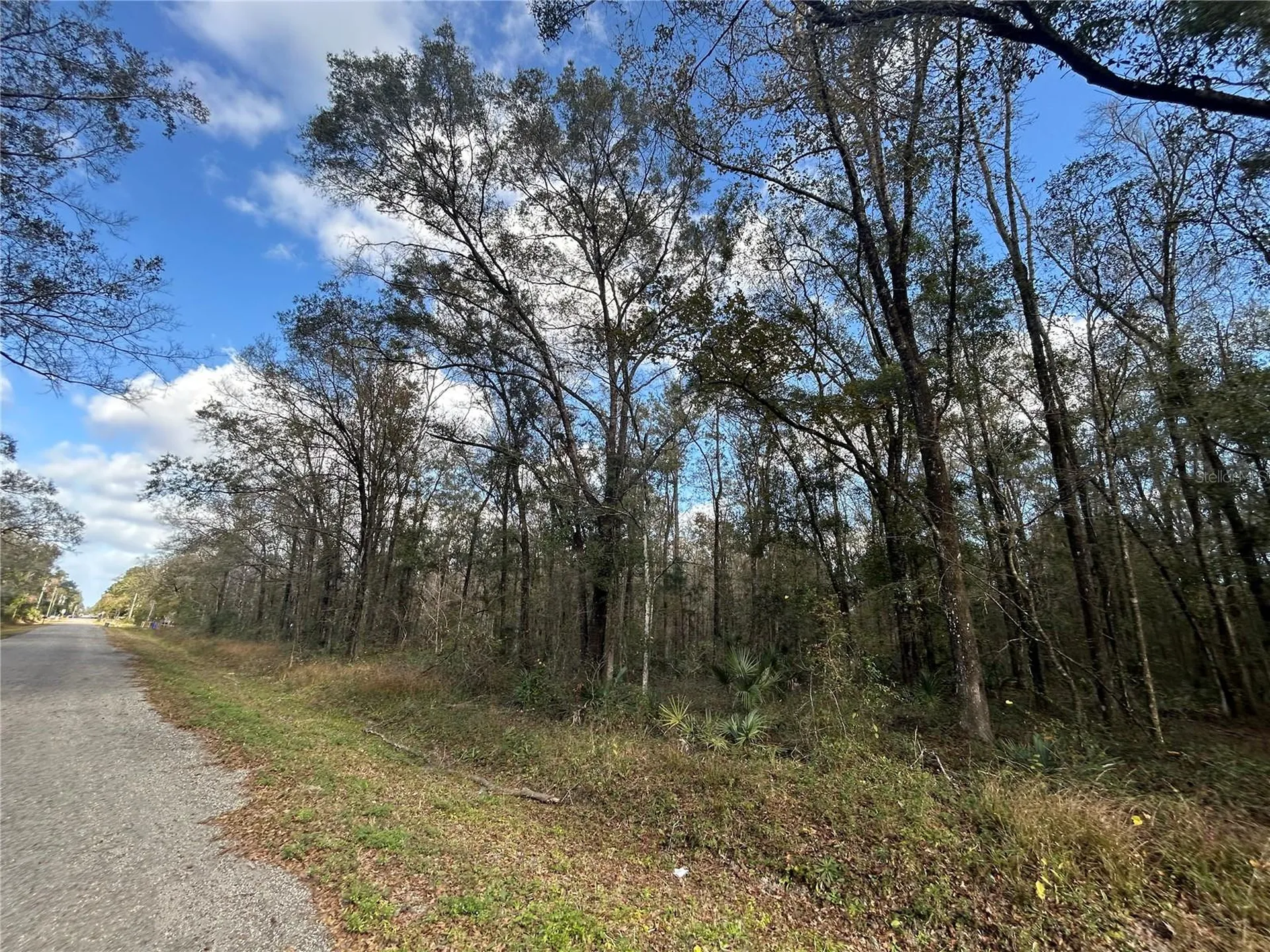10040 Mcmahon Avenue Hastings FL 32145