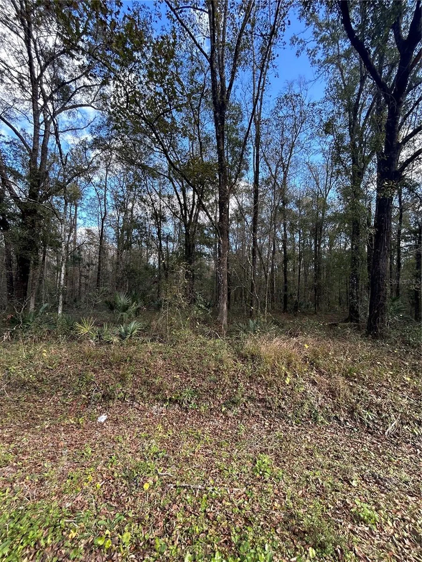 10040 Mcmahon Avenue Hastings FL 32145