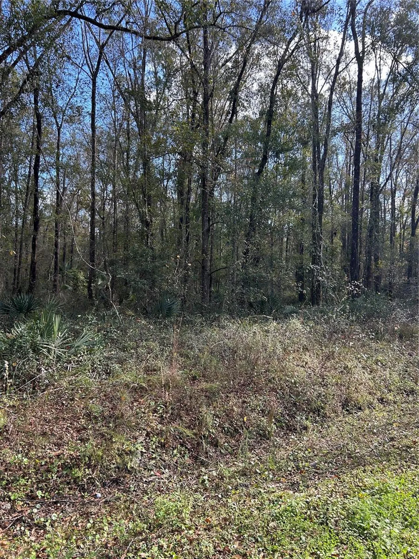 10040 Mcmahon Avenue Hastings FL 32145
