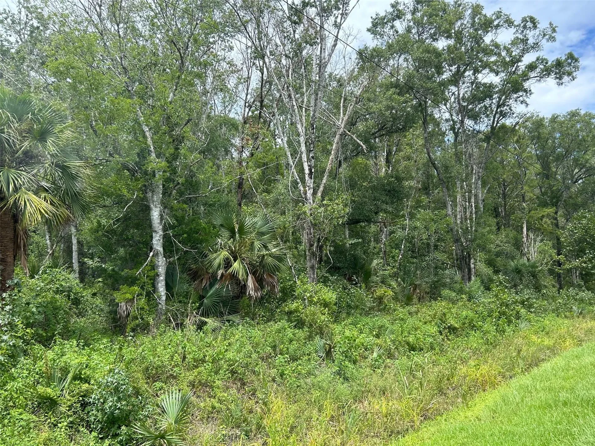 10040 Mcmahon Avenue Hastings FL 32145