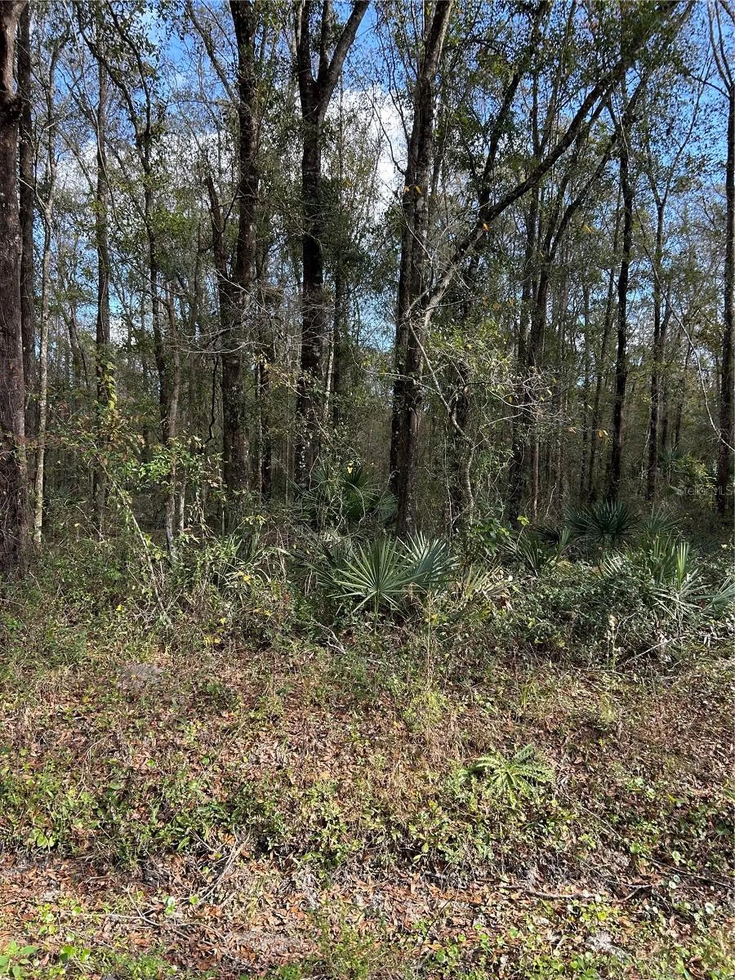 10040 Mcmahon Avenue Hastings FL 32145
