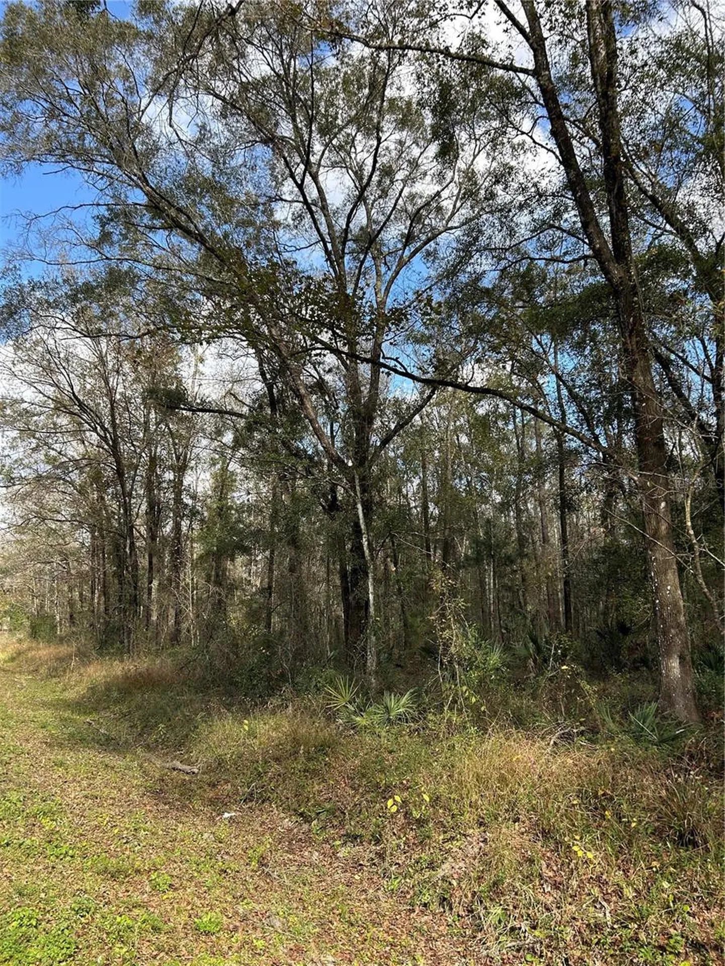 10040 Mcmahon Avenue Hastings FL 32145