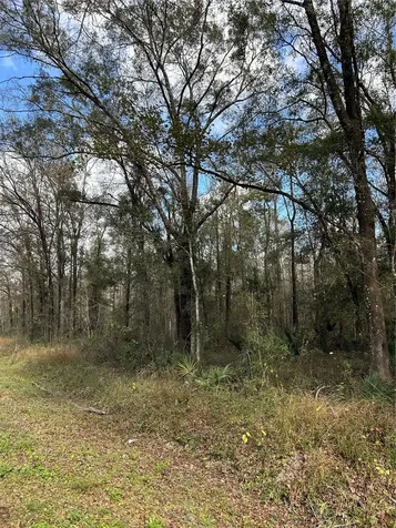 10040 Mcmahon Avenue Hastings FL 32145