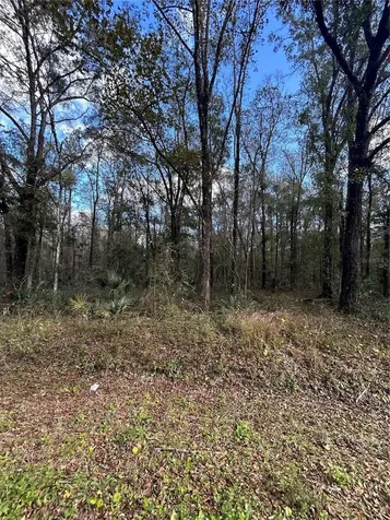 10040 Mcmahon Avenue Hastings FL 32145