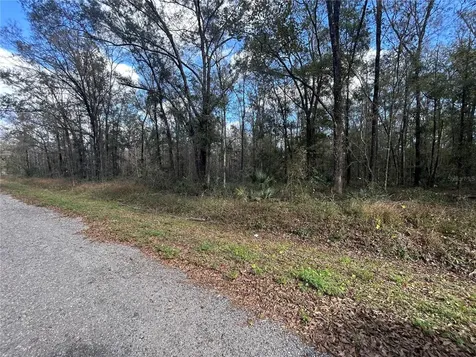 10040 Mcmahon Avenue Hastings FL 32145