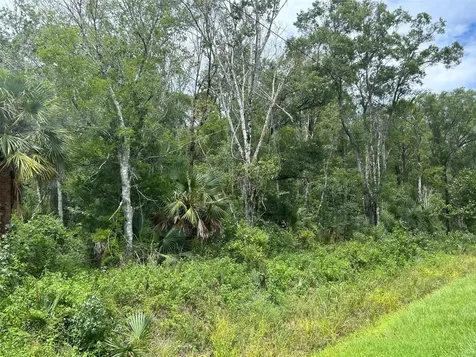 10040 Mcmahon Avenue Hastings FL 32145