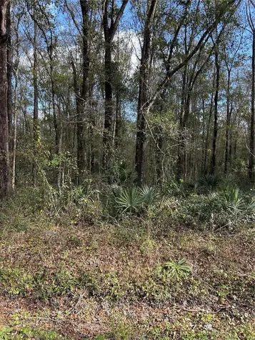 10040 Mcmahon Avenue Hastings FL 32145