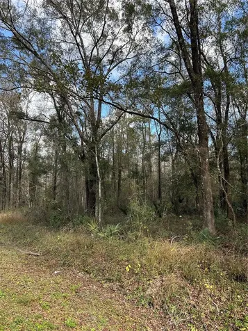 10040 Mcmahon Avenue Hastings FL 32145