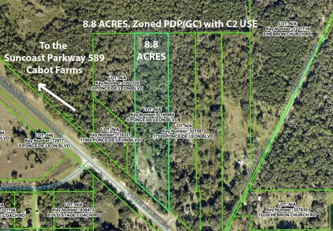 17338 Ponce De Leon Boulevard Brooksville FL 34614