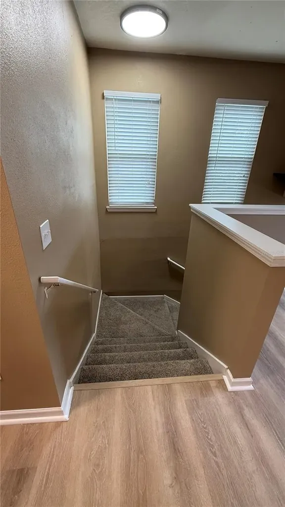 10414 Villa View Circle Tampa FL 33647