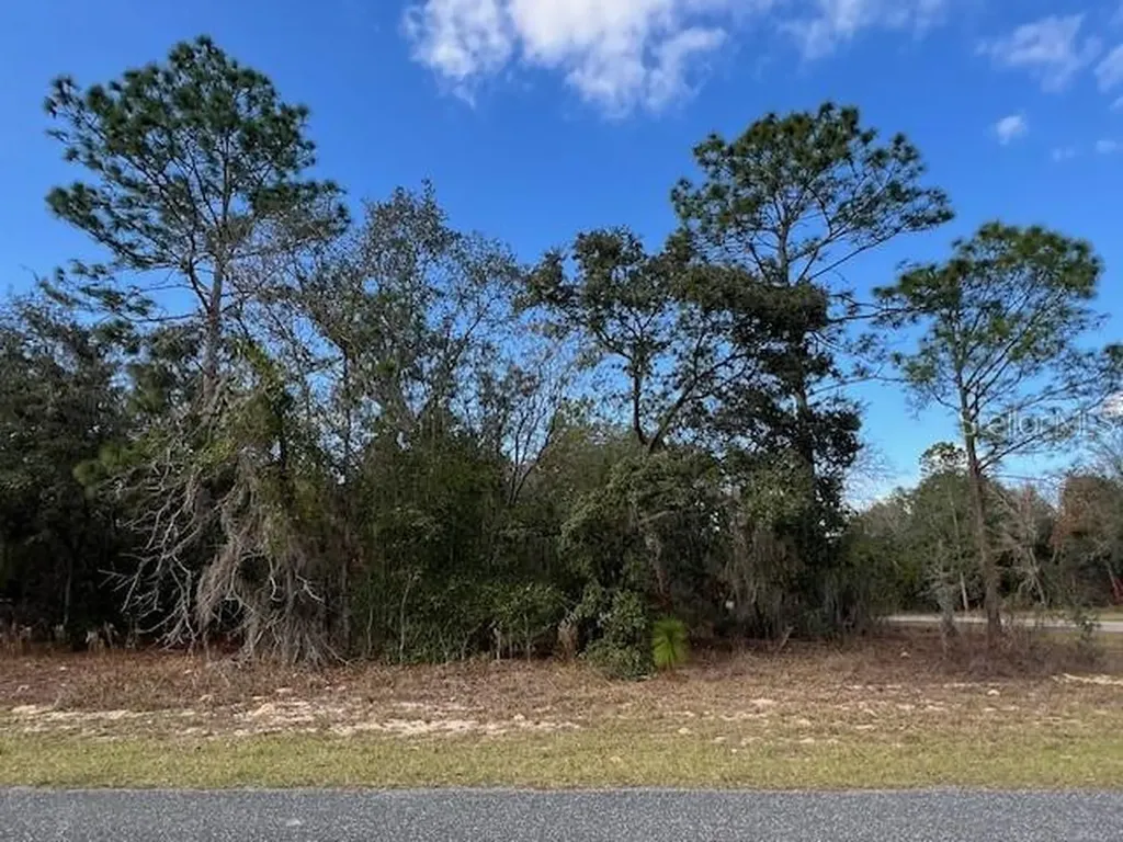 125 W Ruska Place Citrus Springs FL 34434